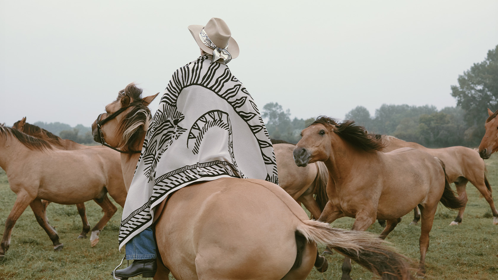 BRAND BANNER (1).jpg